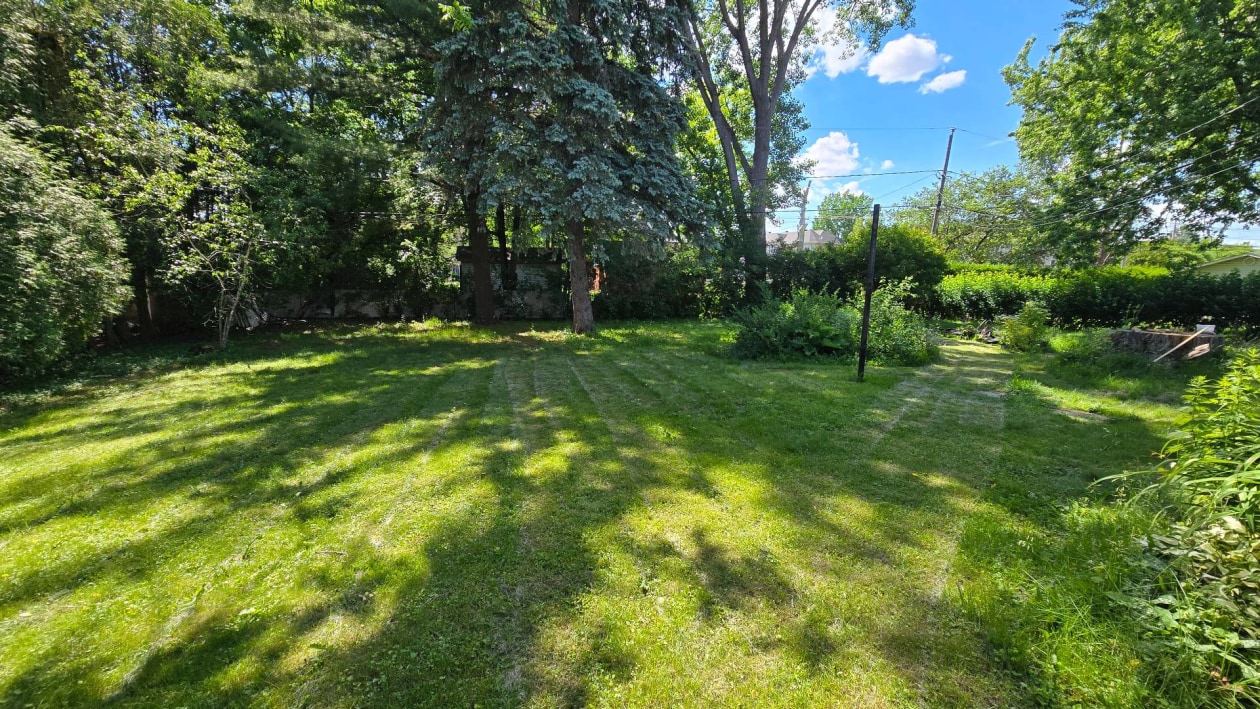 Cour — 118, Rue Bedford, Baie-d'Urfé, H9X3A1, Baie-d'Urfé