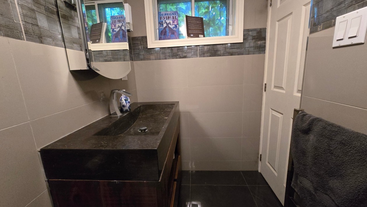 Salle de bains — 3050, Rue Noorduyn, Montréal (Saint-Laurent), H4R1A2, Montréal (Saint-Laurent)