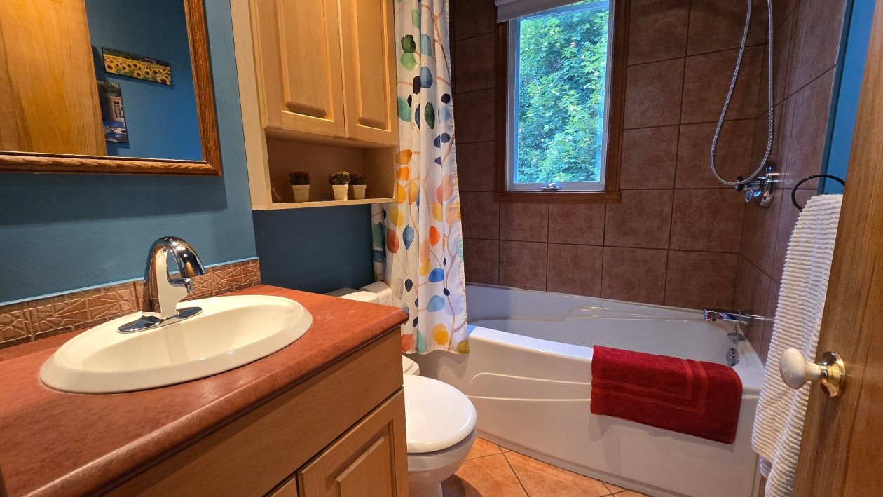 Salle de bains — 234, Rue Maple, Longueuil (Greenfield Park), J4V2S3, Longueuil (Greenfield Park)