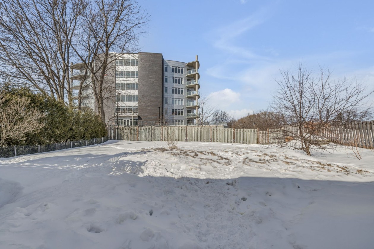 Cour — 5221, Rue St-Georges, Lévis (Desjardins), G6V4P1, Lévis (Desjardins)