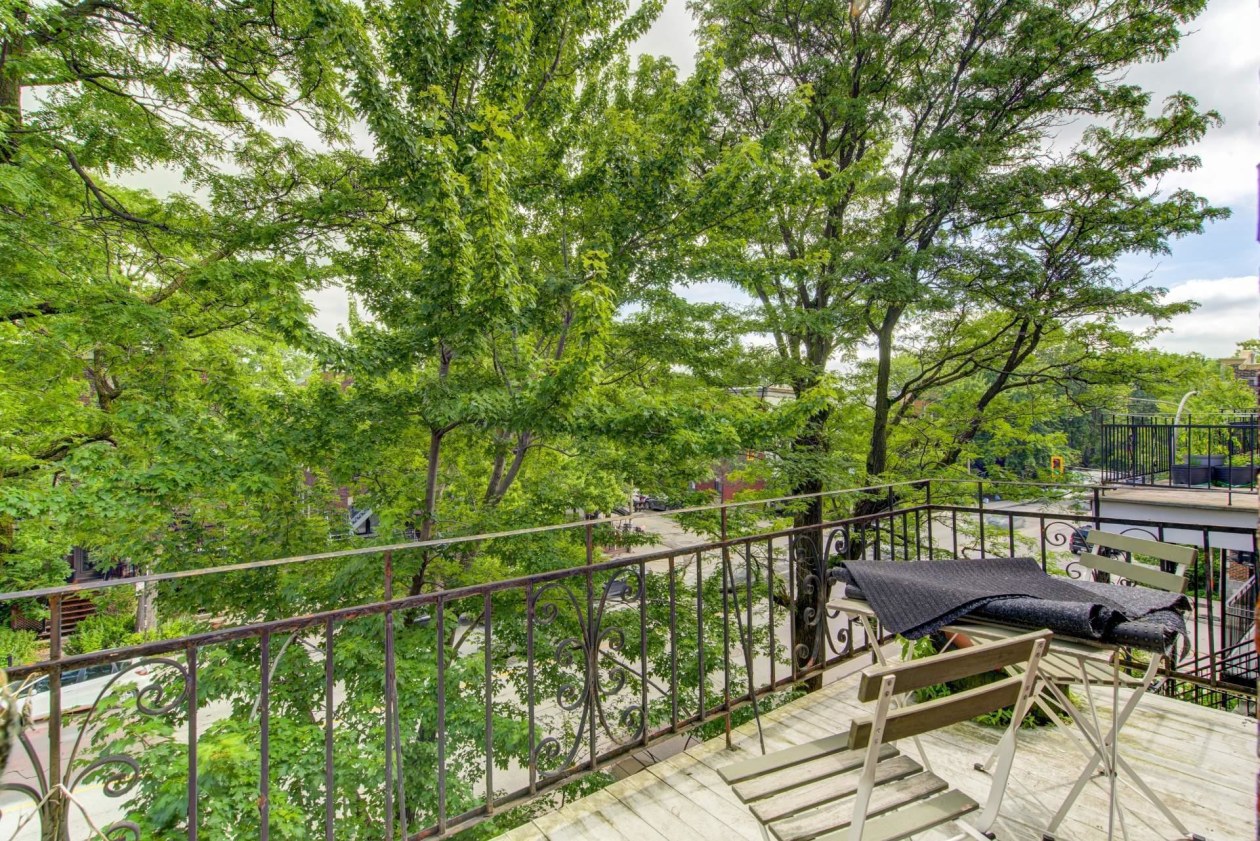 Terrasse — 4364 - 4368, Av. De Lorimier, Montréal (Le Plateau-Mont-Royal), H2H2B2, Montréal (Le Plateau-Mont-Royal)