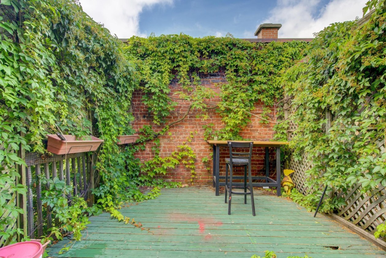 Terrasse — 4364 - 4368, Av. De Lorimier, Montréal (Le Plateau-Mont-Royal), H2H2B2, Montréal (Le Plateau-Mont-Royal)