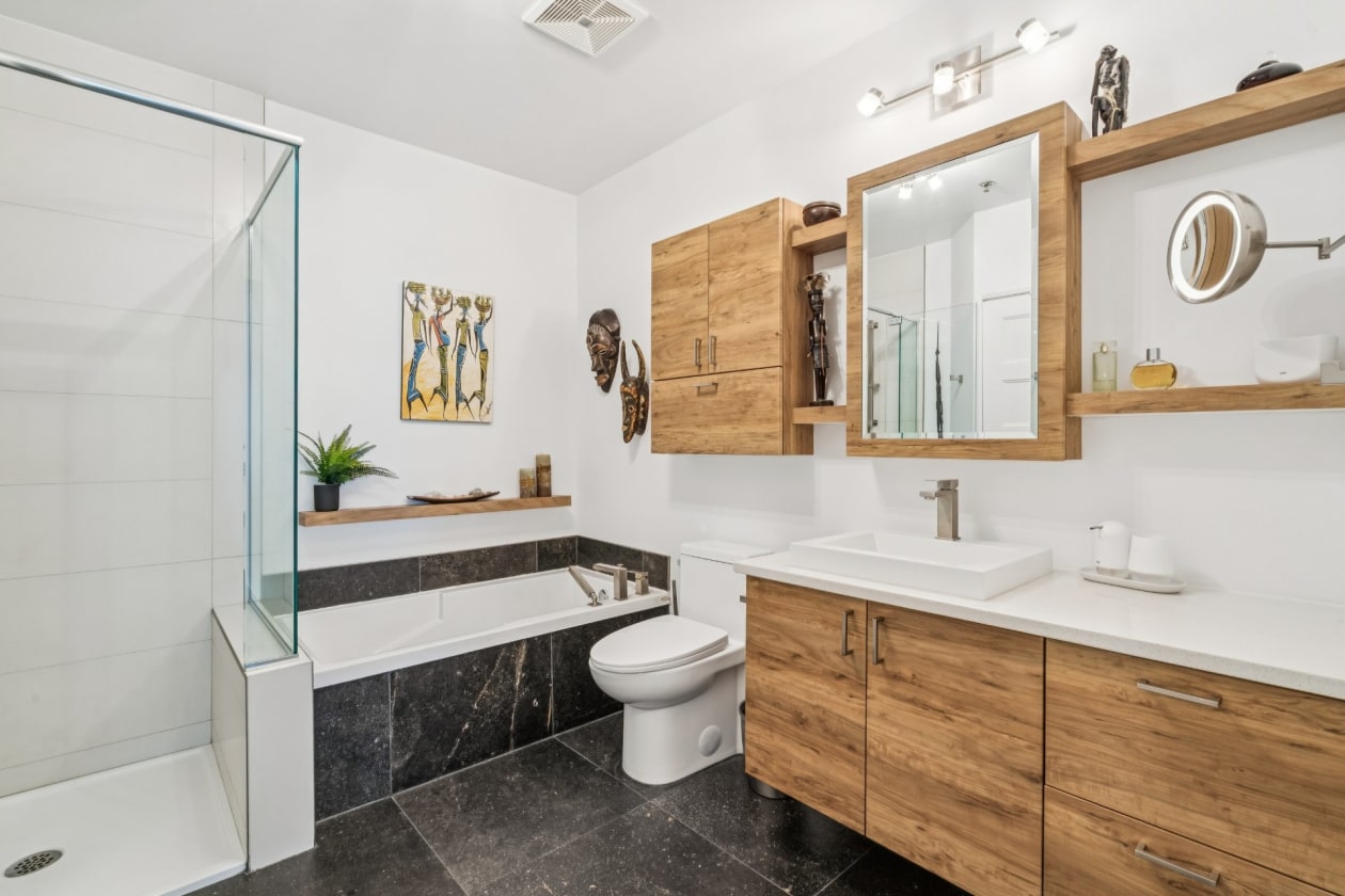 Salle de bains — 7550, Rue St-Dominique, 101, Montréal (Villeray/Saint-Michel/Parc-Extension), H2R1X5, Montréal (Villeray/Saint-Michel/Parc-Extension)