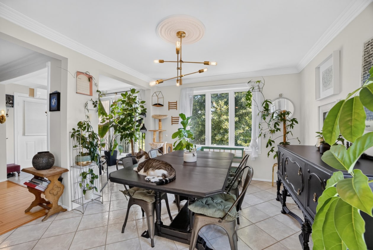 Salle à manger — 3250, Av. Marie-Rivier, 202, Saint-Hyacinthe, J2S8M5, Saint-Hyacinthe