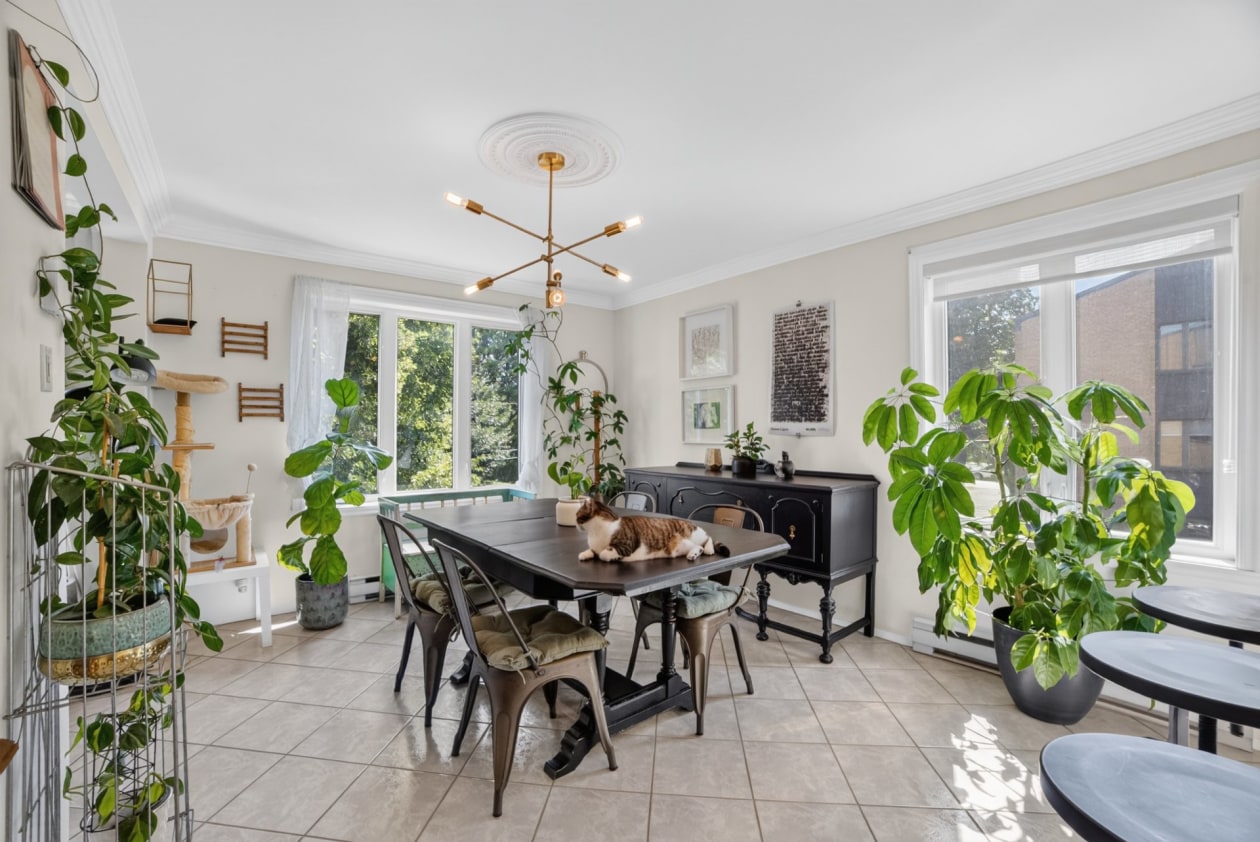 Salle à manger — 3250, Av. Marie-Rivier, 202, Saint-Hyacinthe, J2S8M5, Saint-Hyacinthe