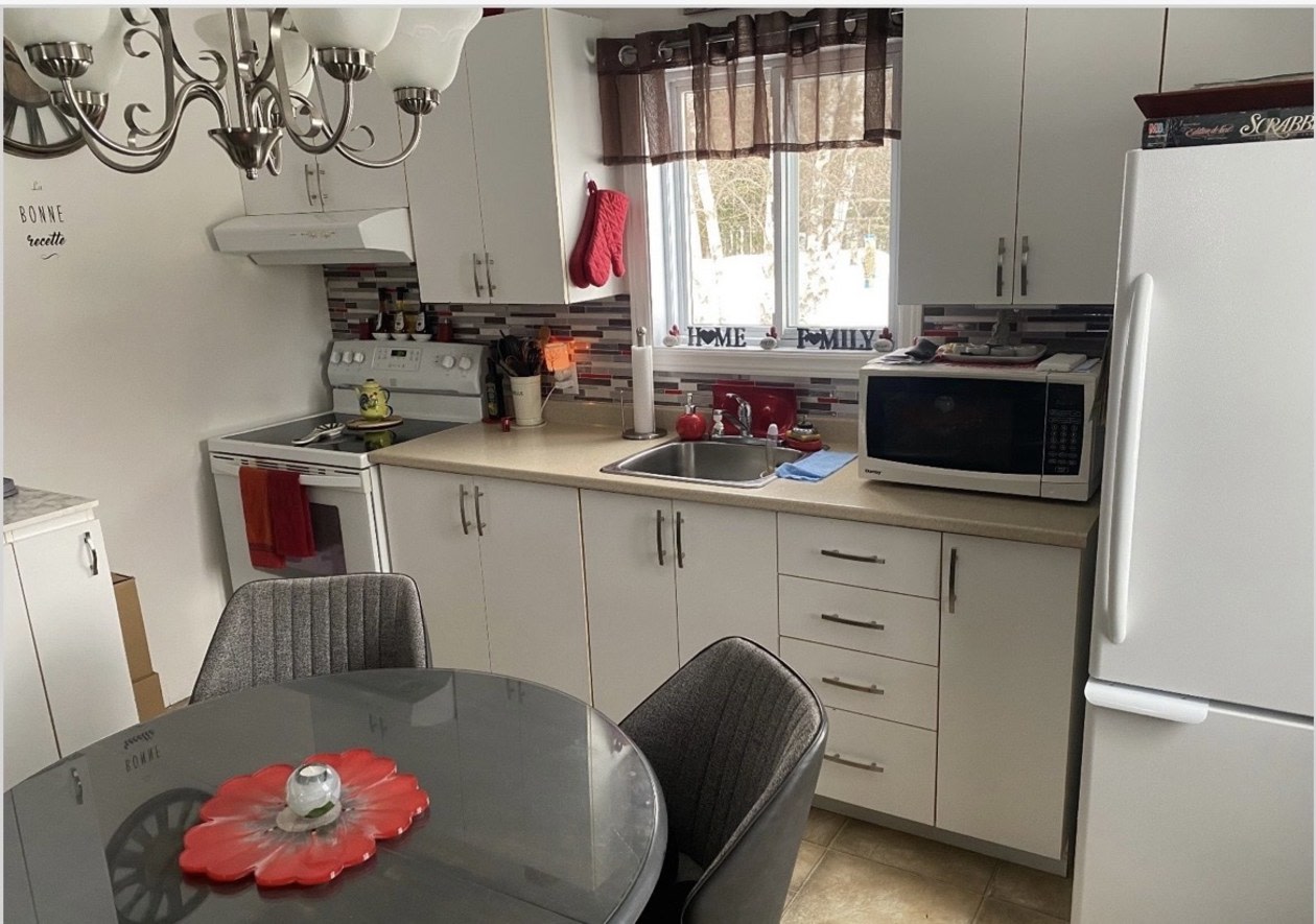 Photo 9 — 266 Rue McLaughlin, 1, Amherst, J0T 2L0, Amherst