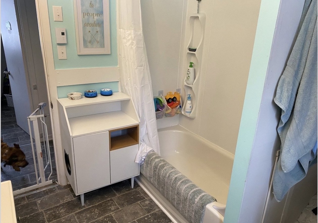 Photo 16 — 266 Rue McLaughlin, 1, Amherst, J0T 2L0, Amherst