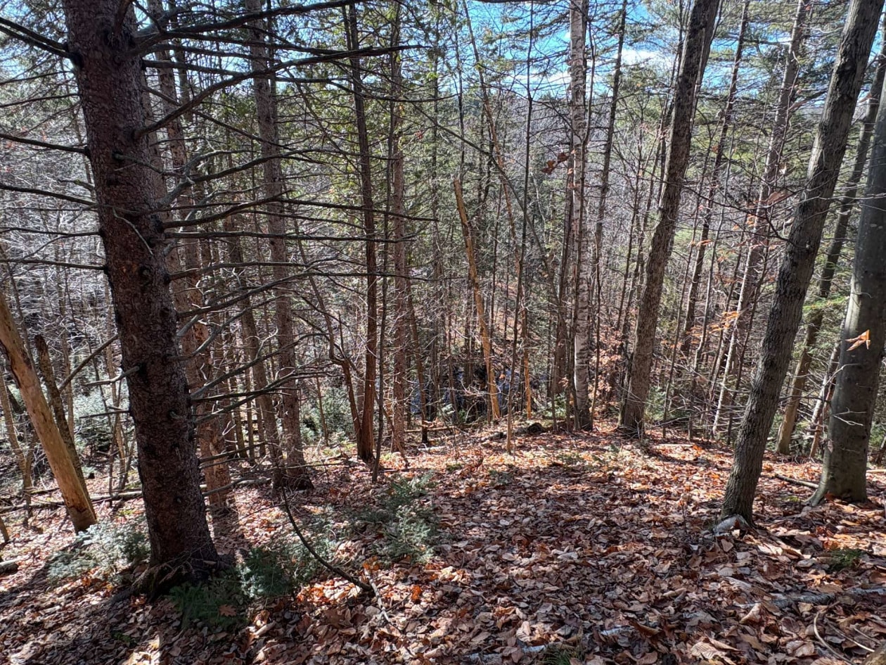 Terrain — Rue St-Marc, Rawdon, J0K1S0, Rawdon