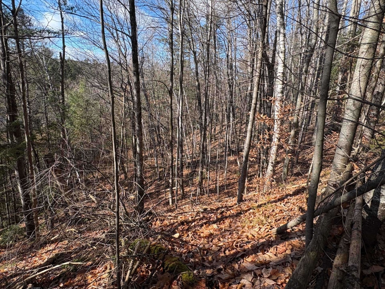 Terrain — Rue St-Marc, Rawdon, J0K1S0, Rawdon