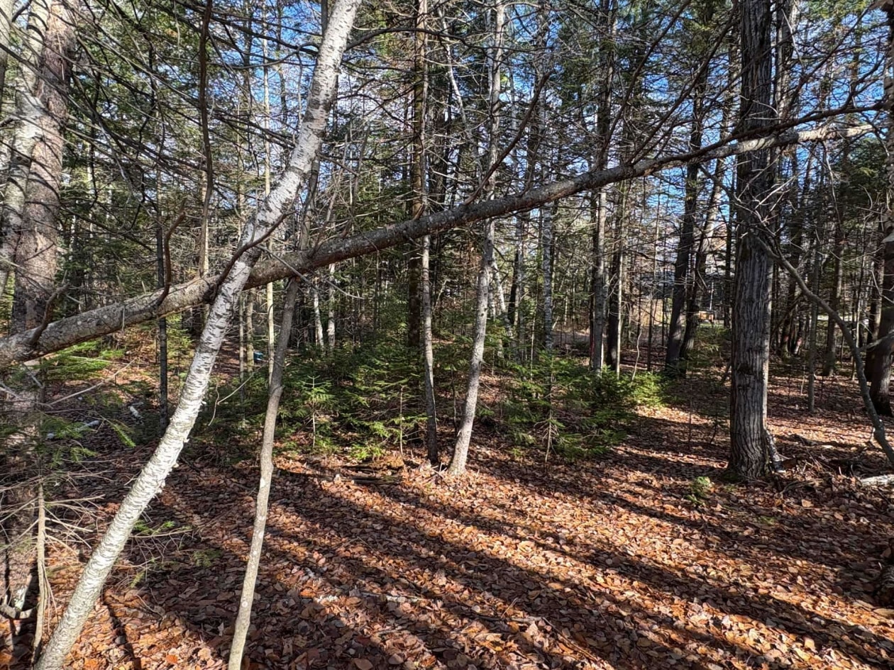 Terrain — Rue St-Marc, Rawdon, J0K1S0, Rawdon
