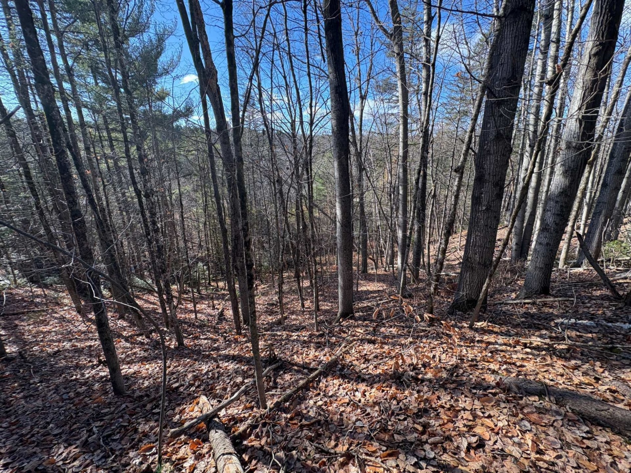Terrain — Rue St-Marc, Rawdon, J0K1S0, Rawdon