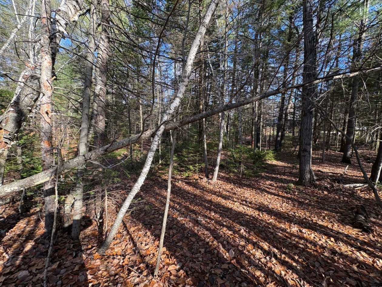 Terrain — Rue St-Marc, Rawdon, J0K1S0, Rawdon