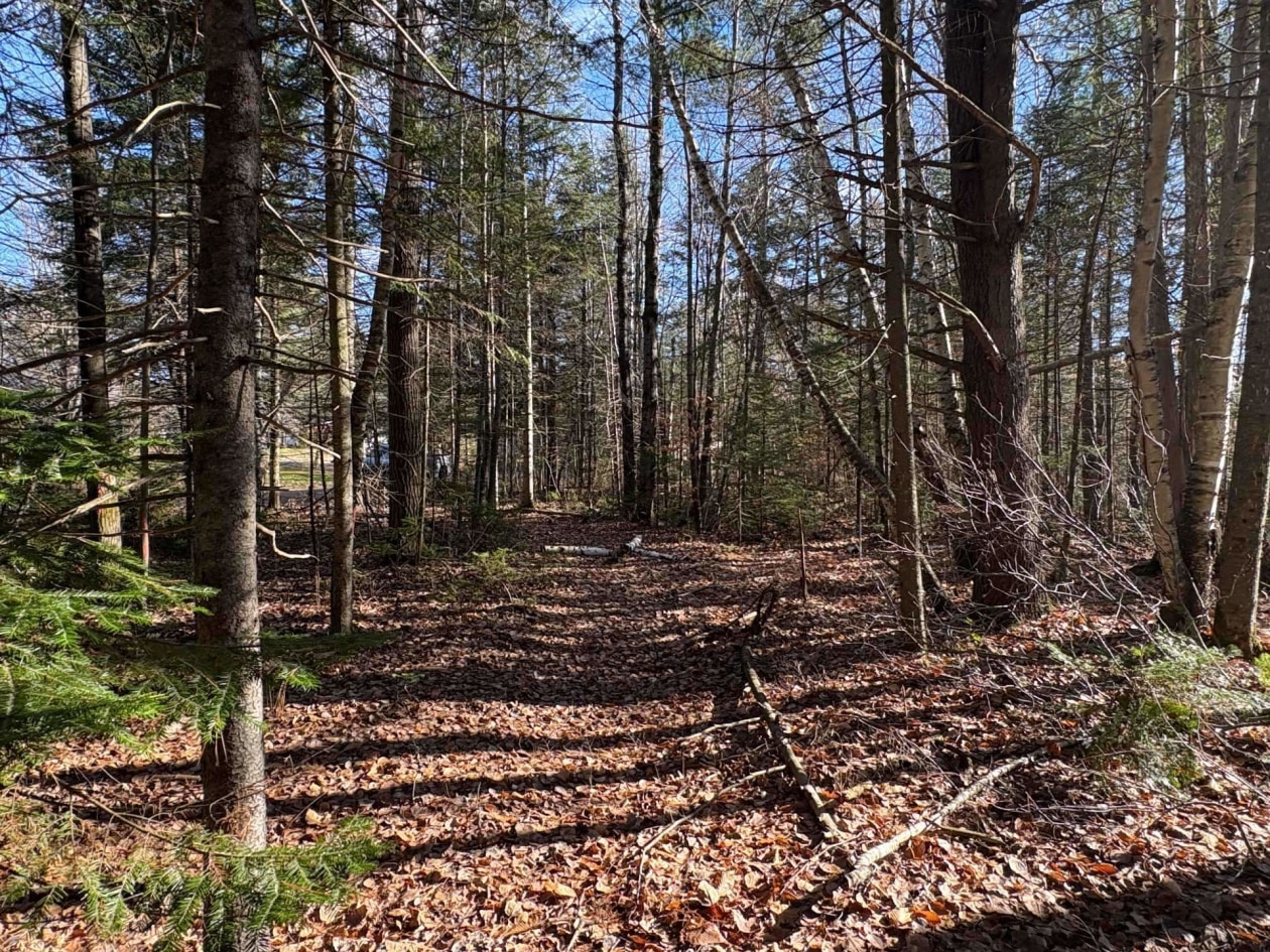 Terrain — Rue St-Marc, Rawdon, J0K1S0, Rawdon