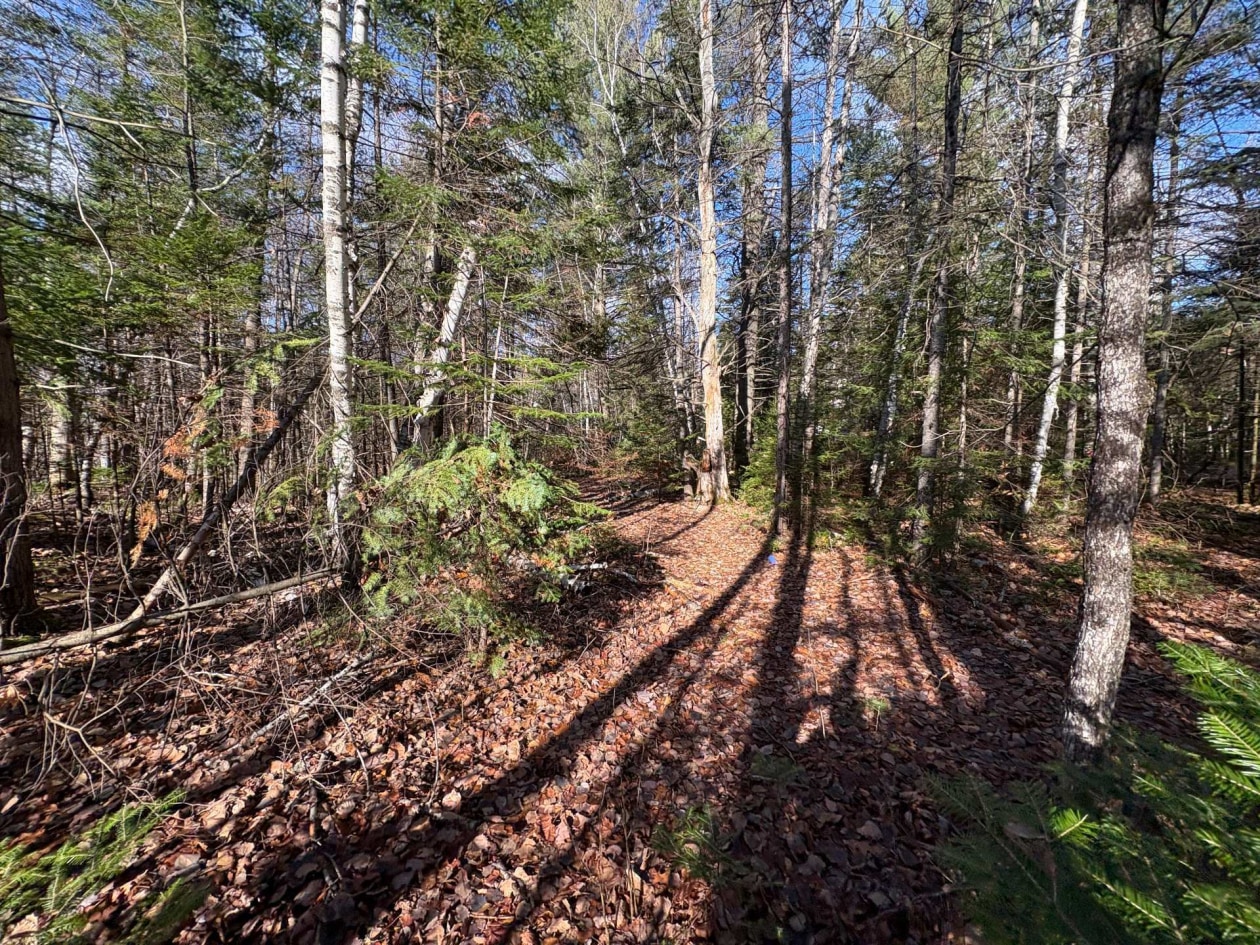 Terrain — Rue St-Marc, Rawdon, J0K1S0, Rawdon