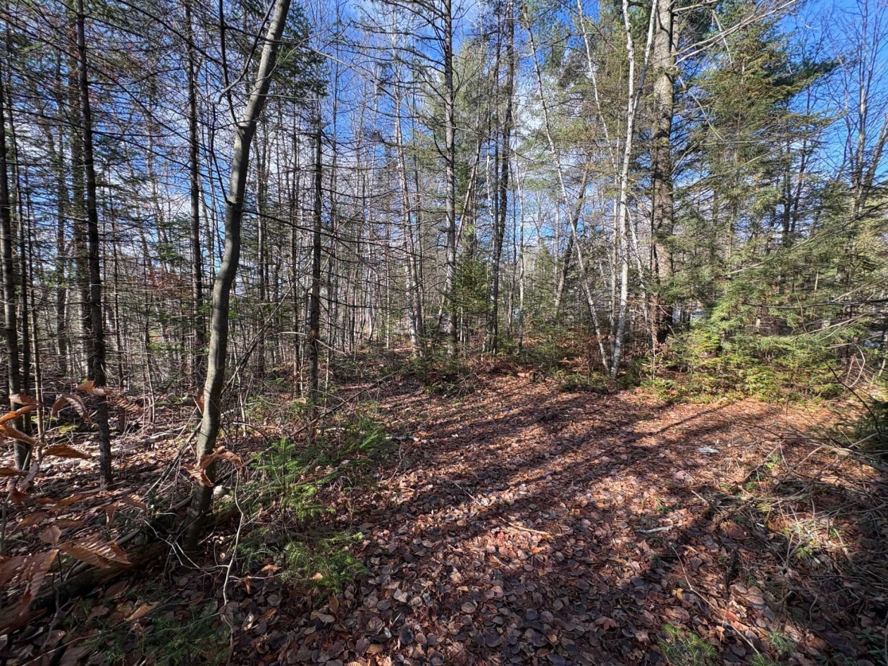 Terrain — Rue St-Marc, Rawdon, J0K1S0, Rawdon