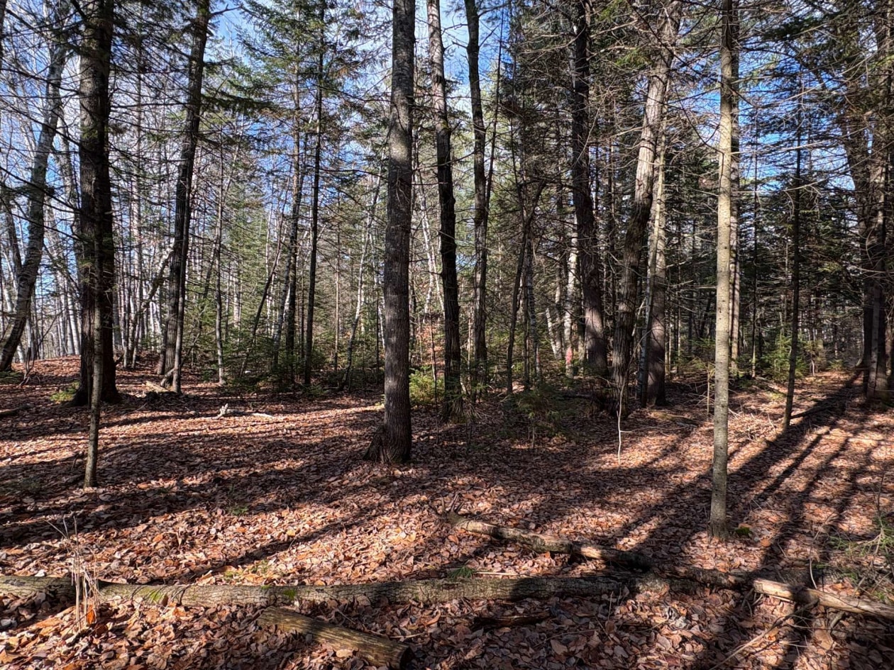 Terrain — Rue St-Marc, Rawdon, J0K1S0, Rawdon