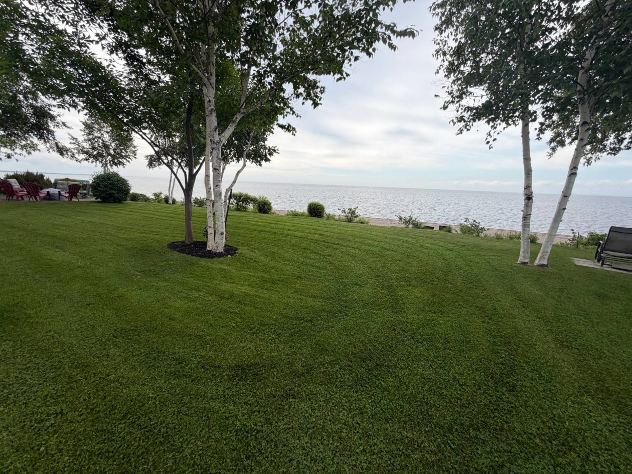 Extérieur — 344, Rue Racine-sur-le-Lac, Dolbeau-Mistassini, G8L5V2, Dolbeau-Mistassini