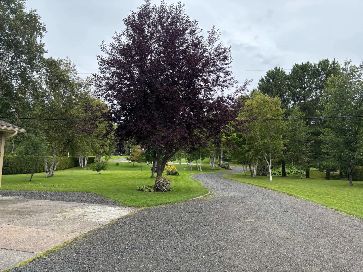 Extérieur — 344, Rue Racine-sur-le-Lac, Dolbeau-Mistassini, G8L5V2, Dolbeau-Mistassini