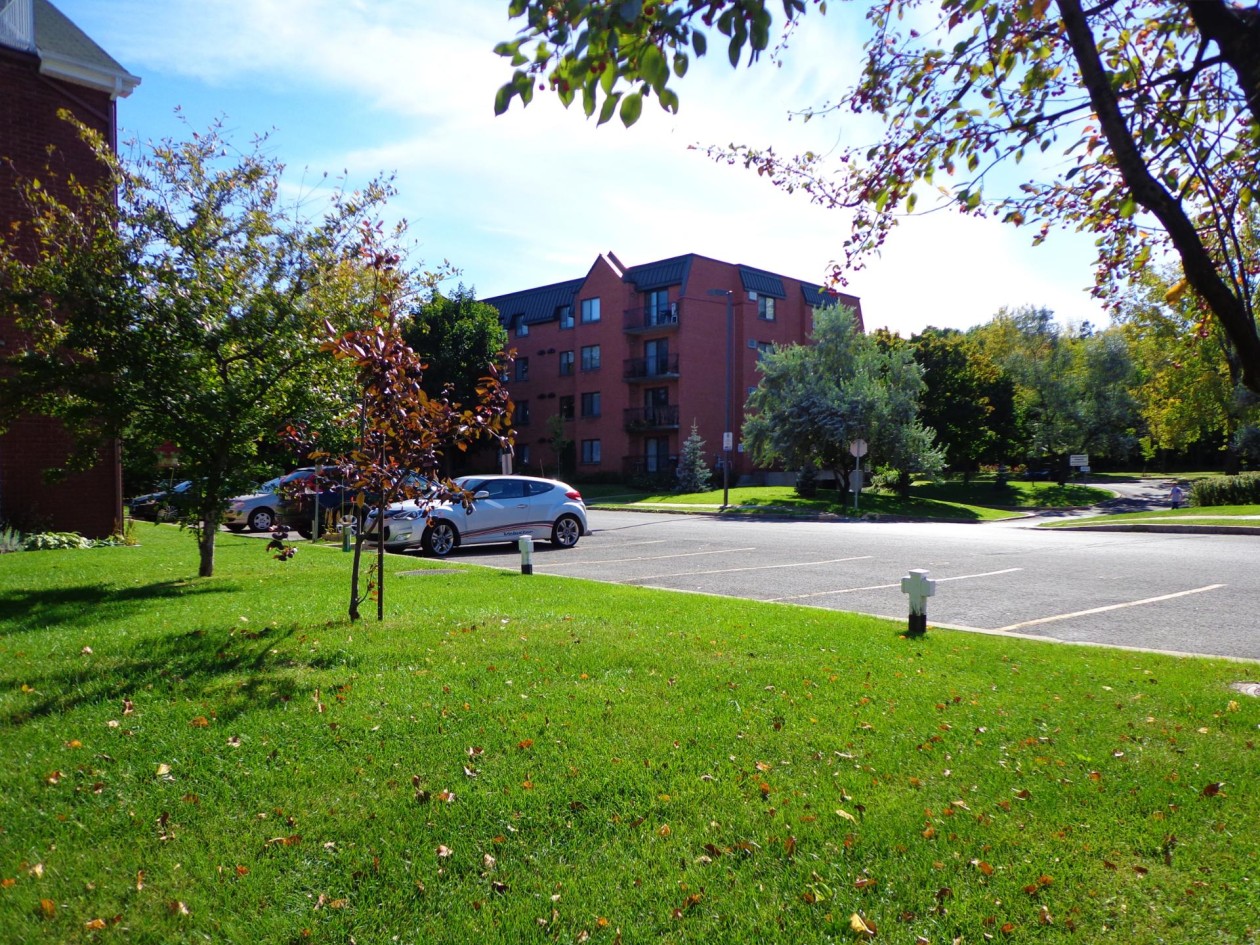 Cour — 1800, Rue du Caribou, 16, Longueuil (Le Vieux-Longueuil), J4N1K2, Longueuil (Le Vieux-Longueuil)