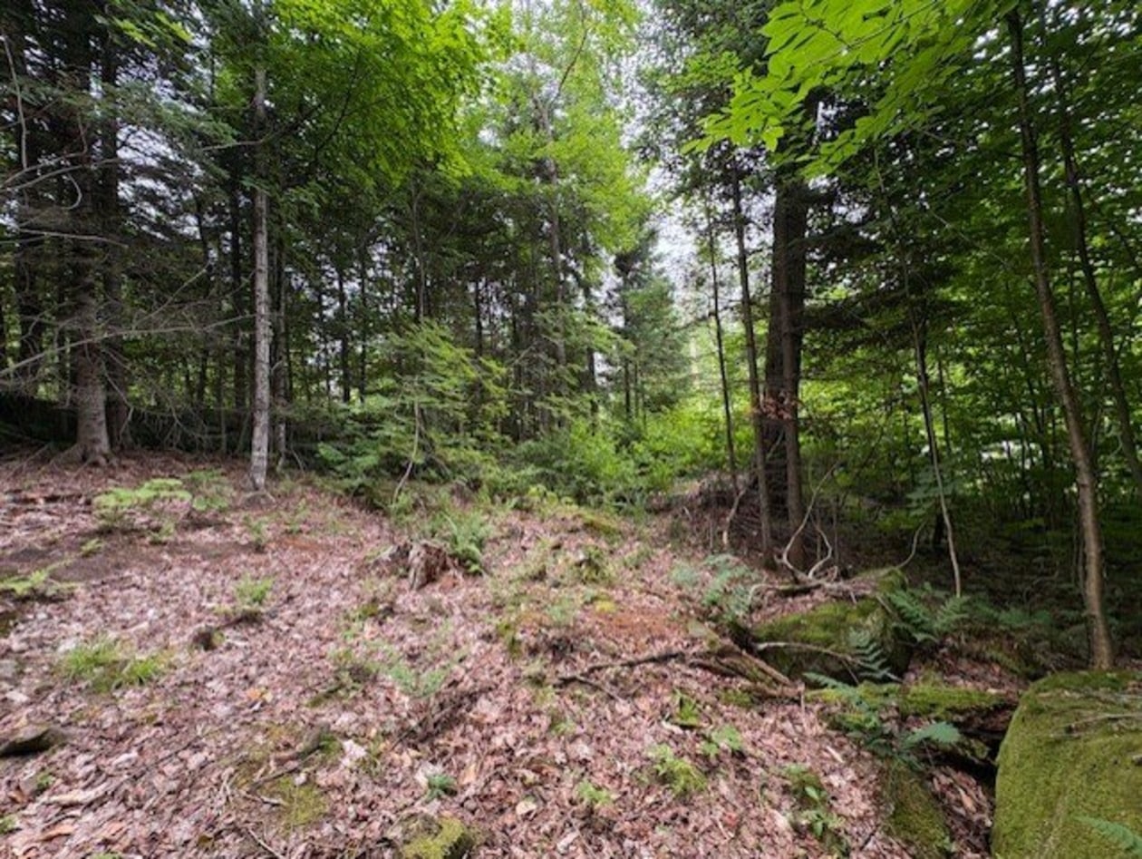 Ch. du Lac-Migué — photo 1