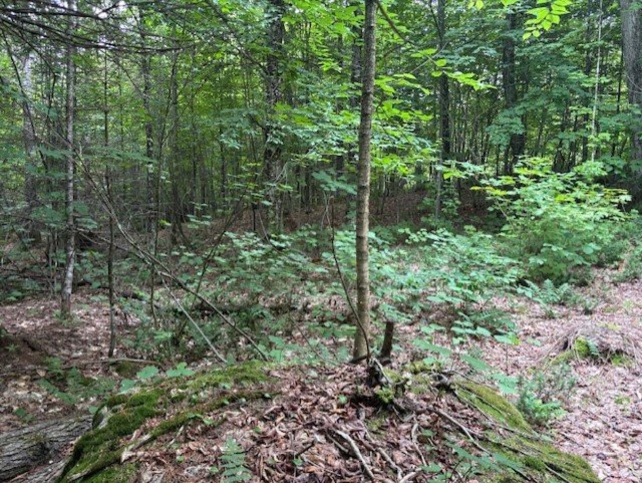Ch. du Lac-Migué — photo 3
