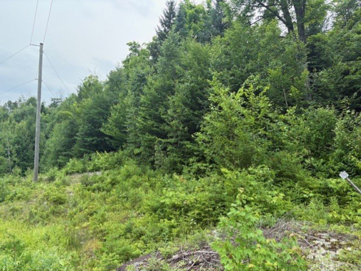 Terrain — Ch. du Lac-Migué, Saint-Damien, J0K2E0, Saint-Damien