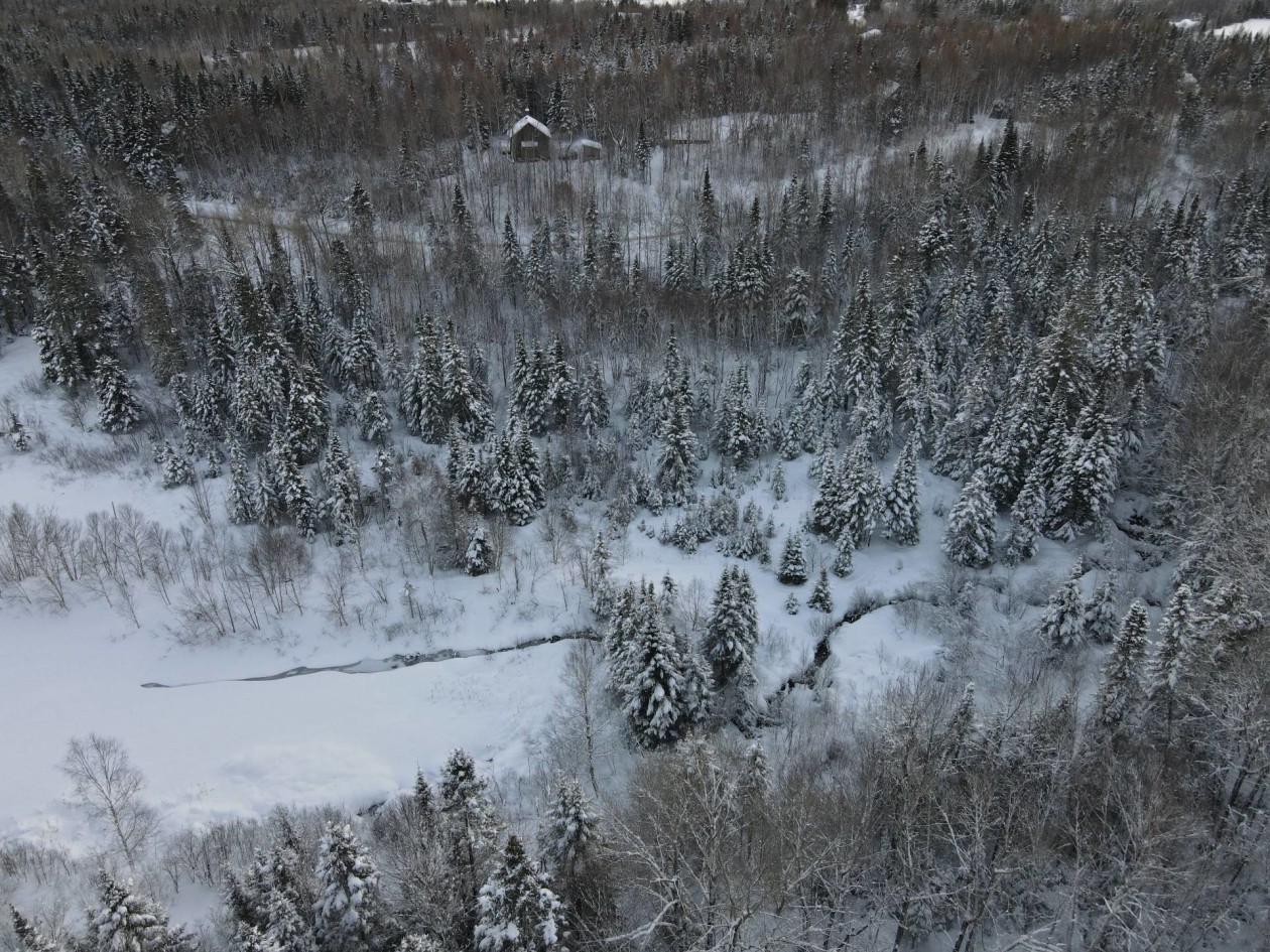 Vue d'ensemble — Rue du Lynx, Saint-Ferréol-les-Neiges, G0A3R0, Saint-Ferréol-les-Neiges