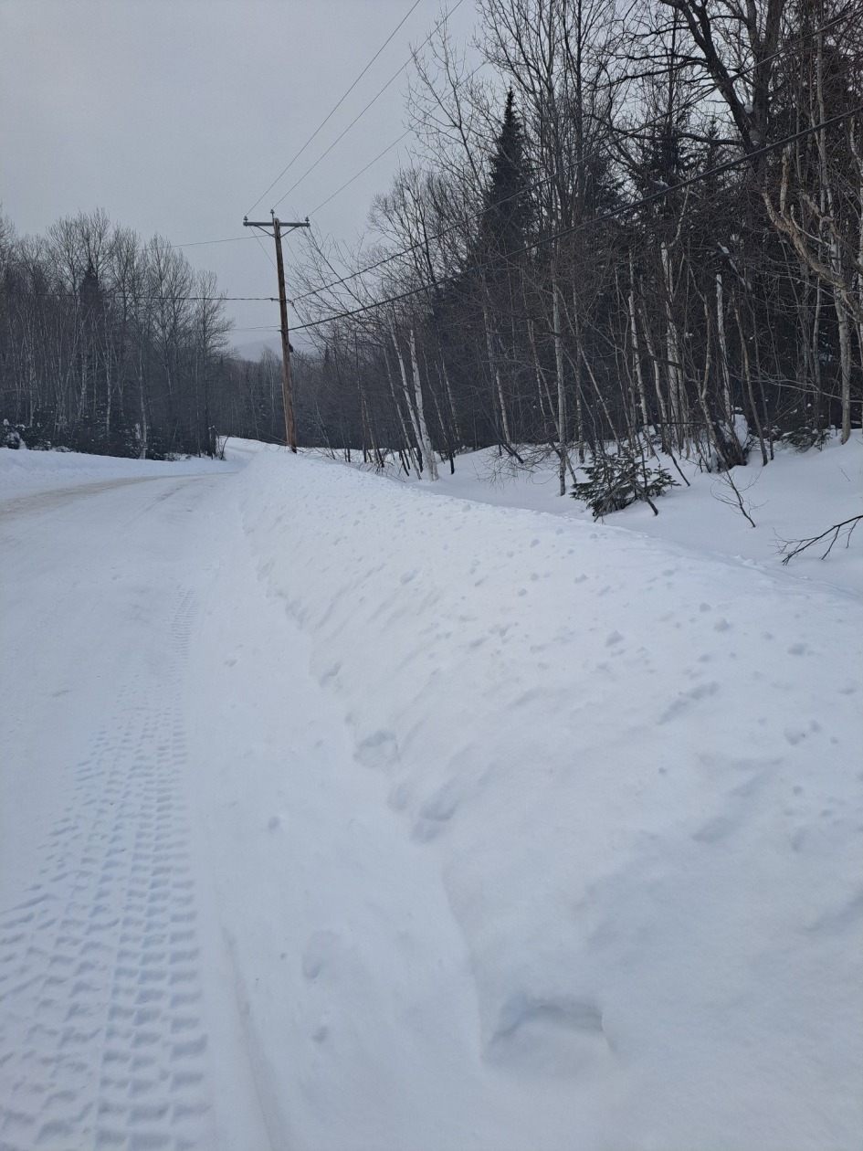 Terrain — Rue de l'Amont, Saint-Ferréol-les-Neiges, G0A3R0, Saint-Ferréol-les-Neiges