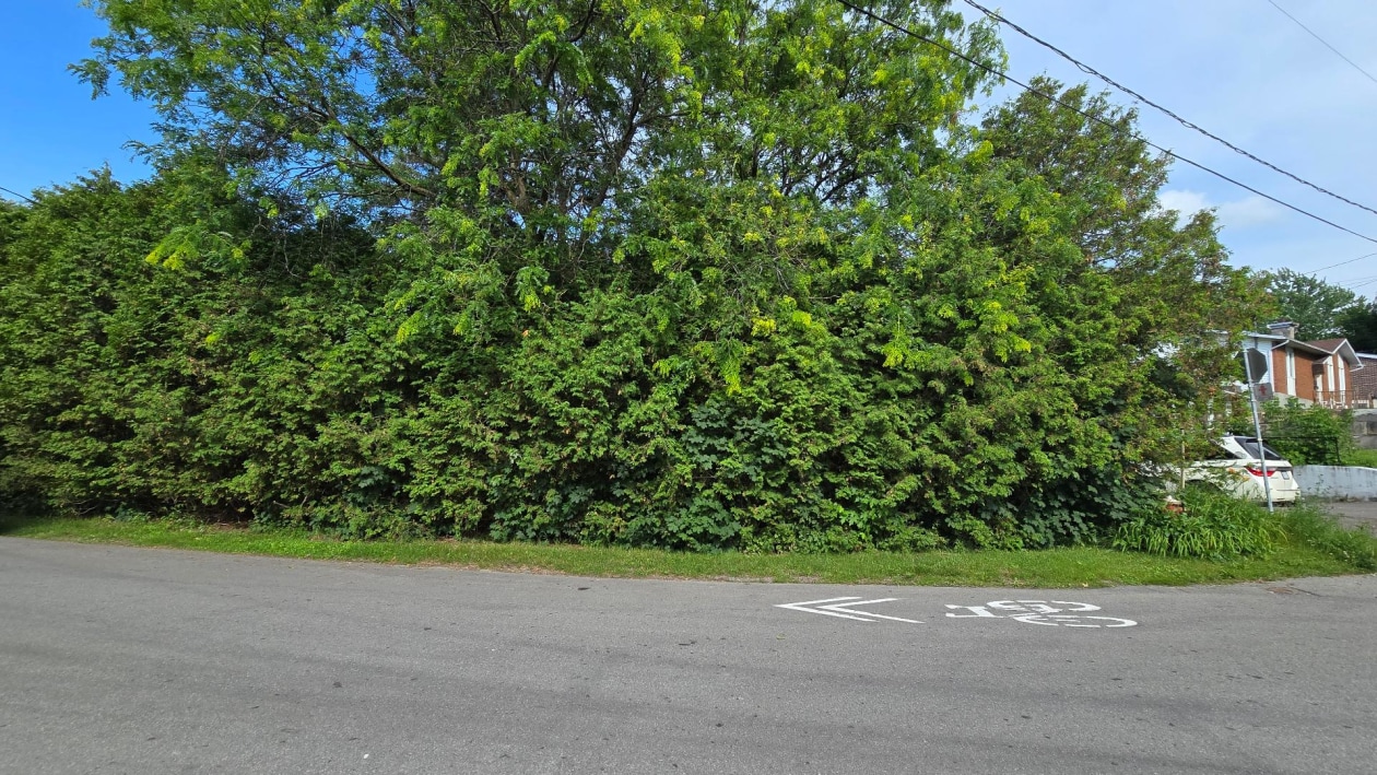 Boisé — 3901, 3e Avenue, Laval (Laval-Ouest), H7R2Y3, Laval (Laval-Ouest)