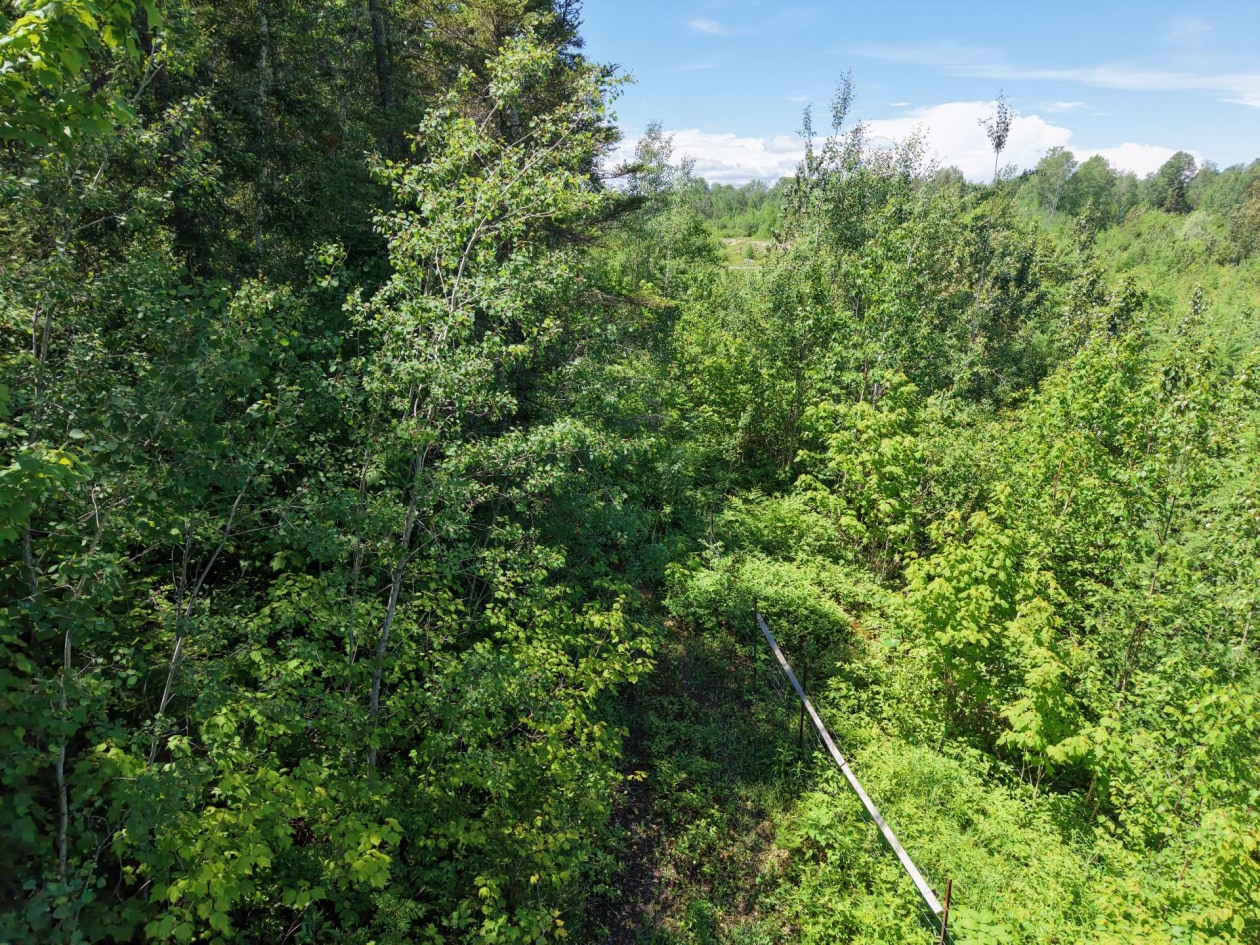 Extérieur — 526, Ch. Champigny, Larouche, G0W1Z0, Larouche