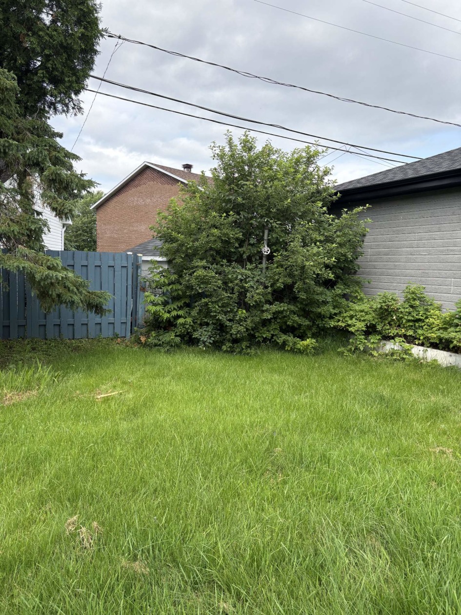 Cour — 209, Rue Mézy, Saguenay (Chicoutimi), G7G1J6, Saguenay (Chicoutimi)