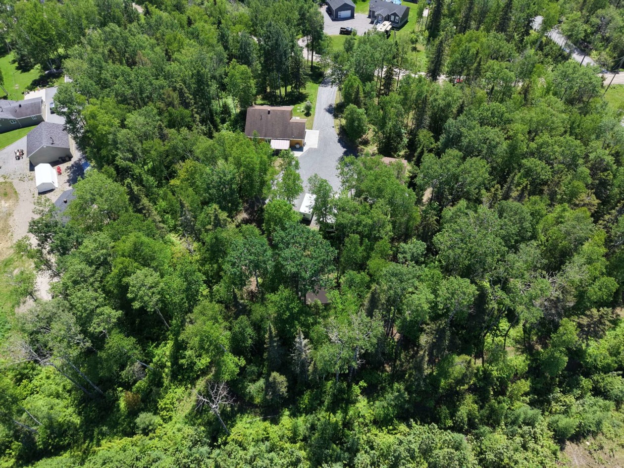 Photo aérienne — 526, Ch. Champigny, Larouche, G0W1Z0, Larouche