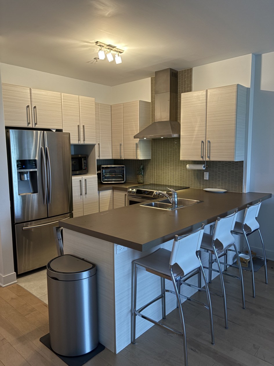 403-1005 Rue Lionel-Daunais — photo 1