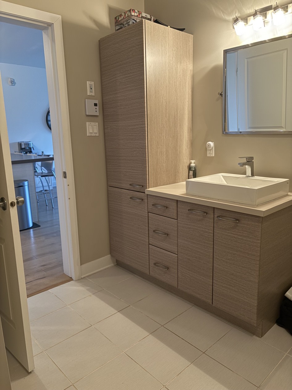 Photo 11 — 403-1005 Rue Lionel-Daunais, 403, Boucherville, J4B 0K6, Boucherville