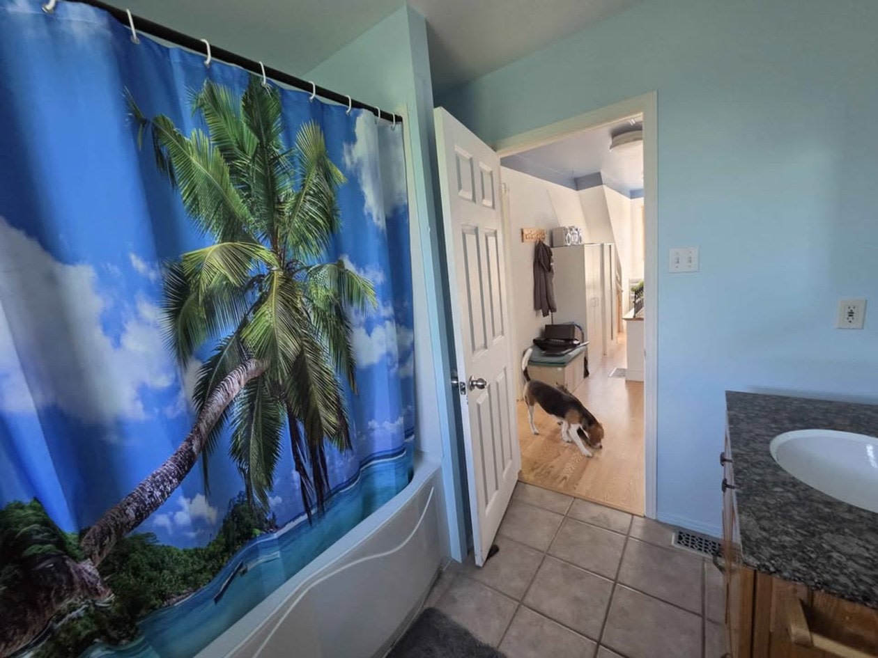 Photo 21 — 285 Rue de la Station, Saint-Adelphe-de-Champlain, G0X 2G0, Saint-Adelphe-de-Champlain