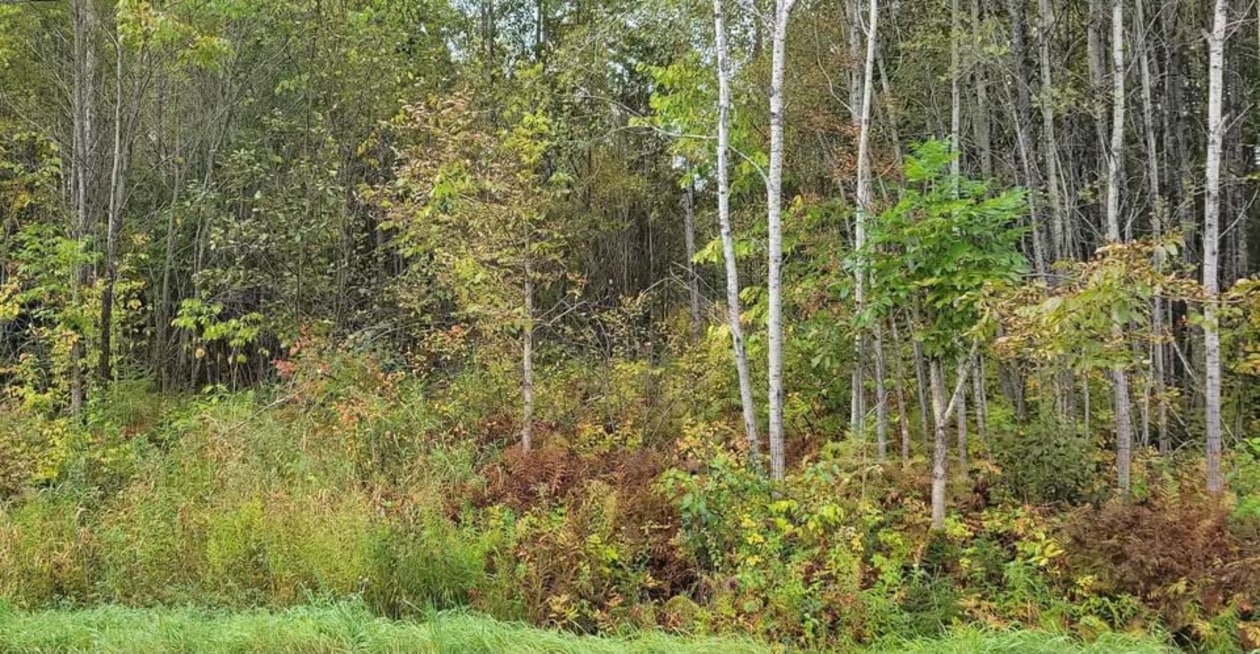 7830 Chem. du Lac-Kaiagamac — photo 1