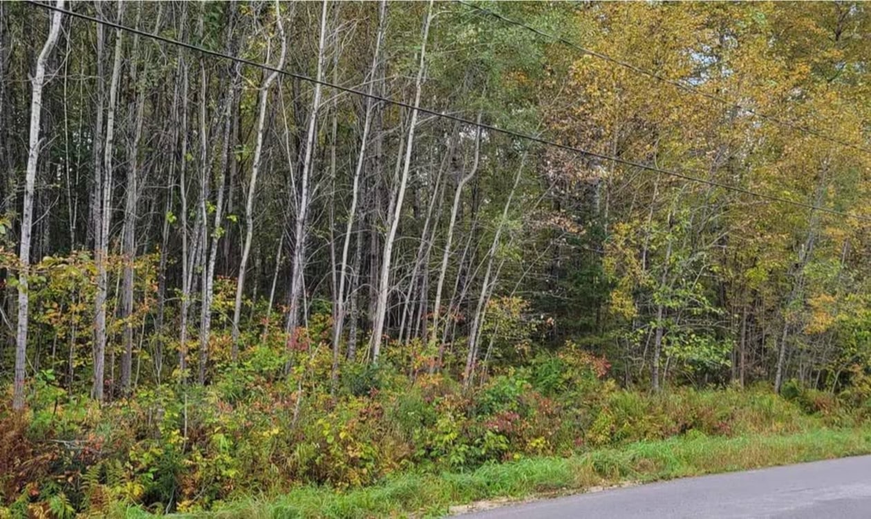 7830 Chem. du Lac-Kaiagamac — photo 2