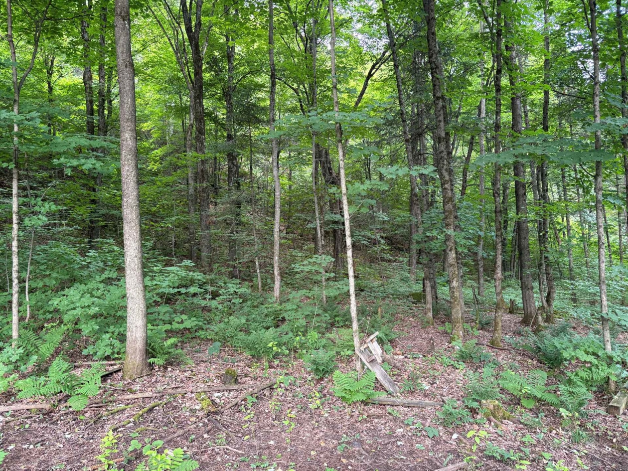 Terrain — Ch. de Ste-Béatrix, Sainte-Béatrix, J0K1Y0, Sainte-Béatrix