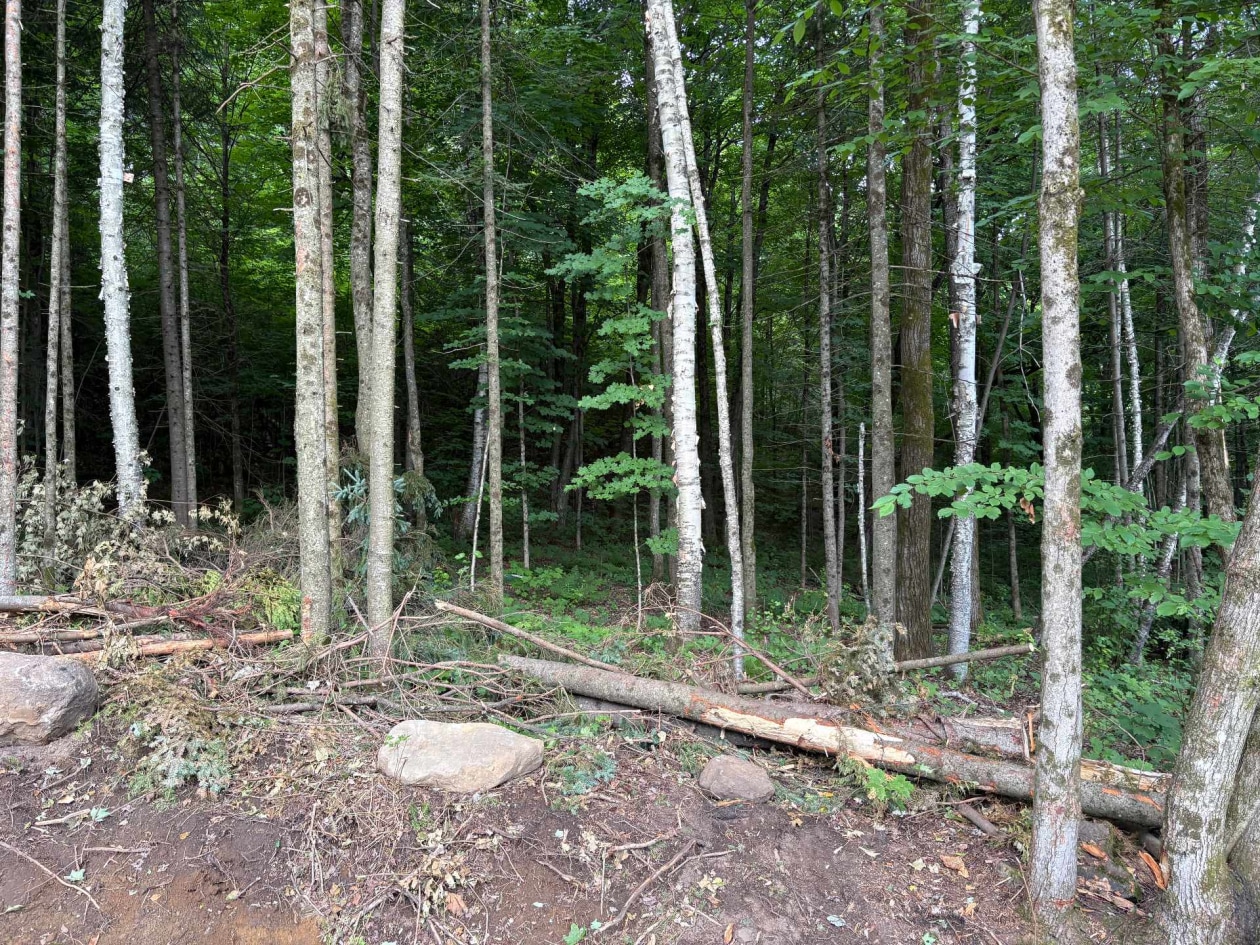 Terrain — Ch. de Ste-Béatrix, Sainte-Béatrix, J0K1Y0, Sainte-Béatrix