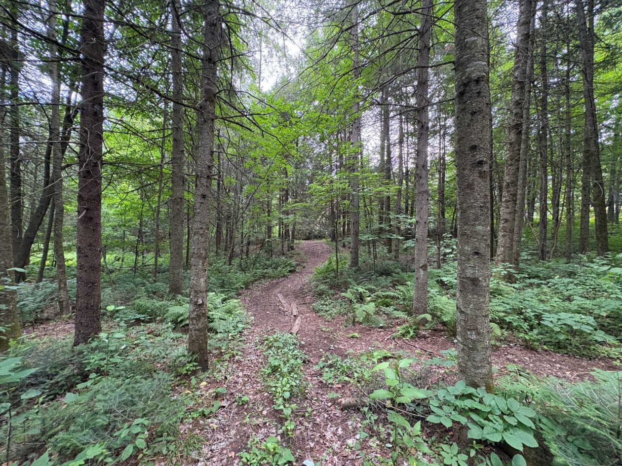 Terrain — Ch. de Ste-Béatrix, Sainte-Béatrix, J0K1Y0, Sainte-Béatrix
