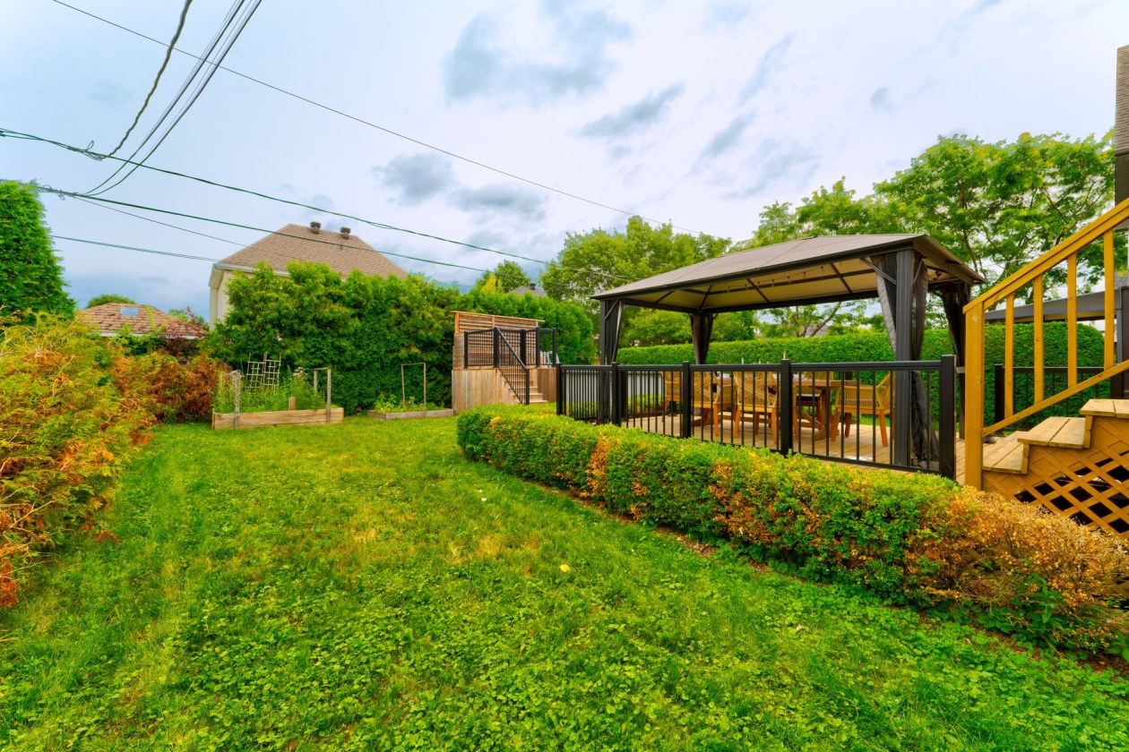 Cour — 141, Mtée des Trinitaires, Saint-Basile-le-Grand, J3N1T9, Saint-Basile-le-Grand