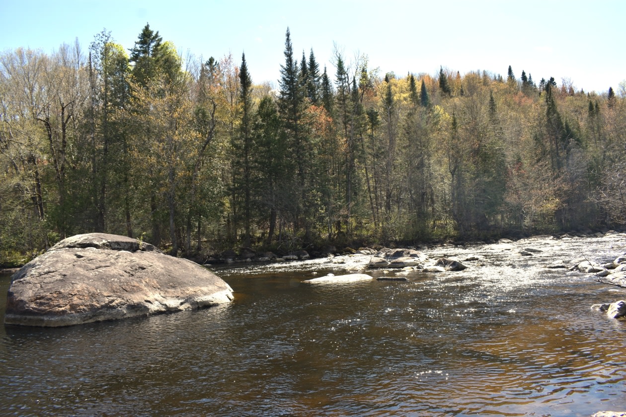 Accès au plan d'eau — 671 Chemin de la Rivière, 201, Sainte-Agathe-des-Monts, J8C 0X9, Sainte-Agathe-des-Monts