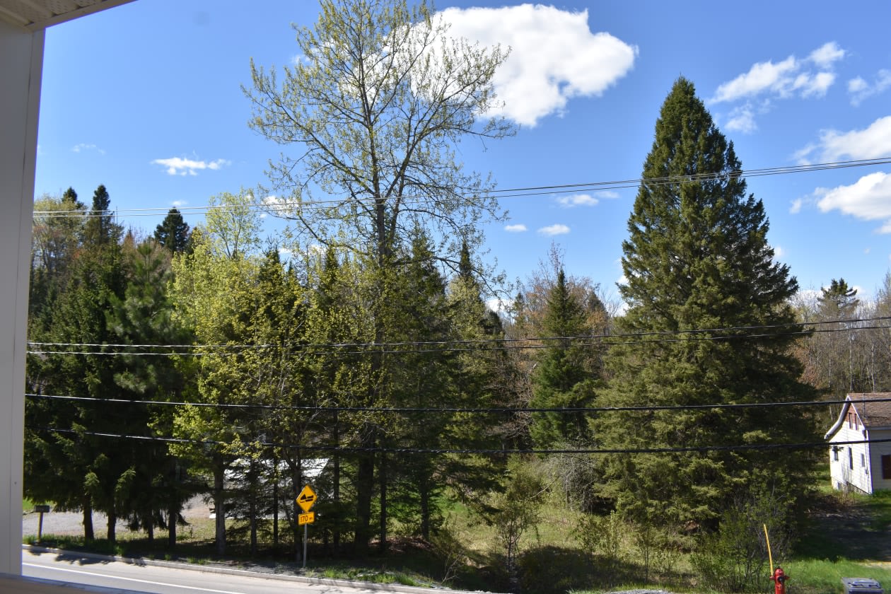 Photo 42 — 671 Chemin de la Rivière, 201, Sainte-Agathe-des-Monts, J8C 0X9, Sainte-Agathe-des-Monts