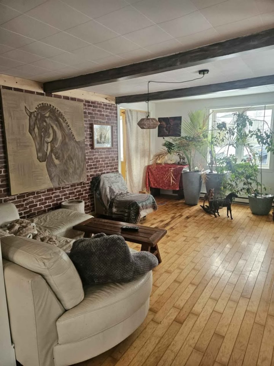 Photo 6 — 173 Rang du Bas-de-la-Rivière N., Saint-Césaire, J0L 1T0, Saint-Césaire