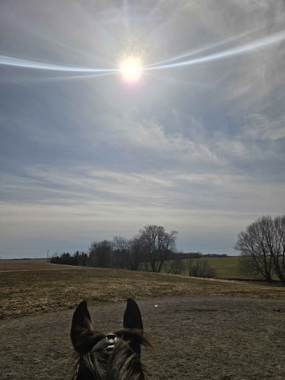 Photo 10 — 173 Rang du Bas-de-la-Rivière N., Saint-Césaire, J0L 1T0, Saint-Césaire