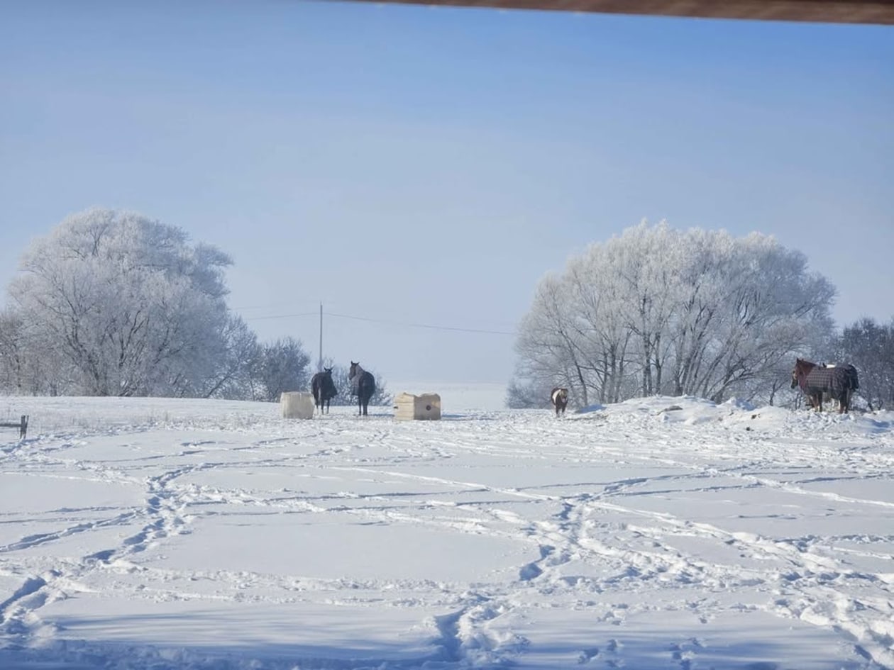 Photo 12 — 173 Rang du Bas-de-la-Rivière N., Saint-Césaire, J0L 1T0, Saint-Césaire