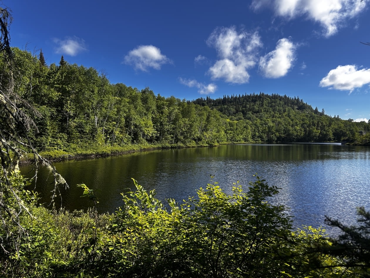 chemin Jeanne-Ida-Gaudreault — photo 1