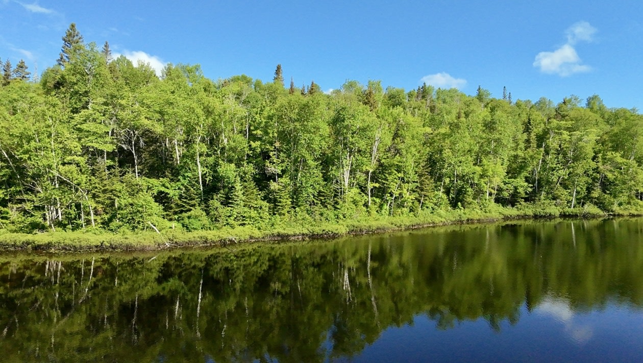 chemin Jeanne-Ida-Gaudreault — photo 3