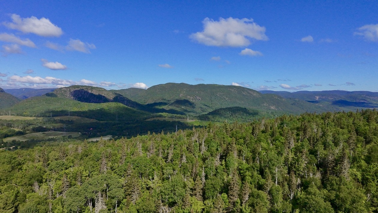 Photo 5 — chemin Jeanne-Ida-Gaudreault, Petit-Saguenay, G0V 1N0, Petit-Saguenay