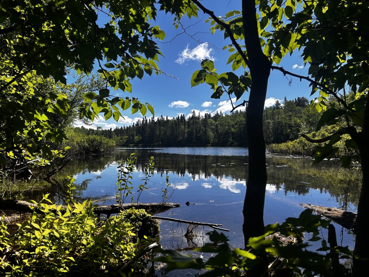 Photo 6 — chemin Jeanne-Ida-Gaudreault, Petit-Saguenay, G0V 1N0, Petit-Saguenay